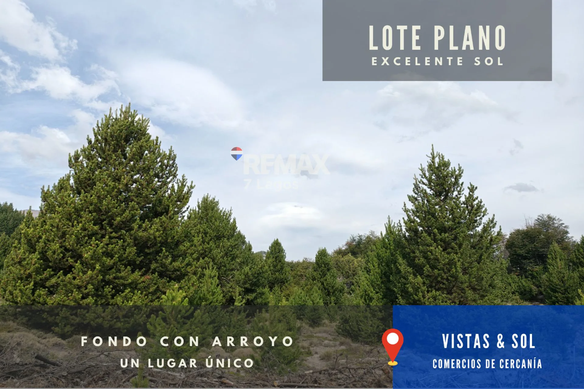 Lote en Las Jorgelinas - Villa Meliquina - L7 - J1 foto 4