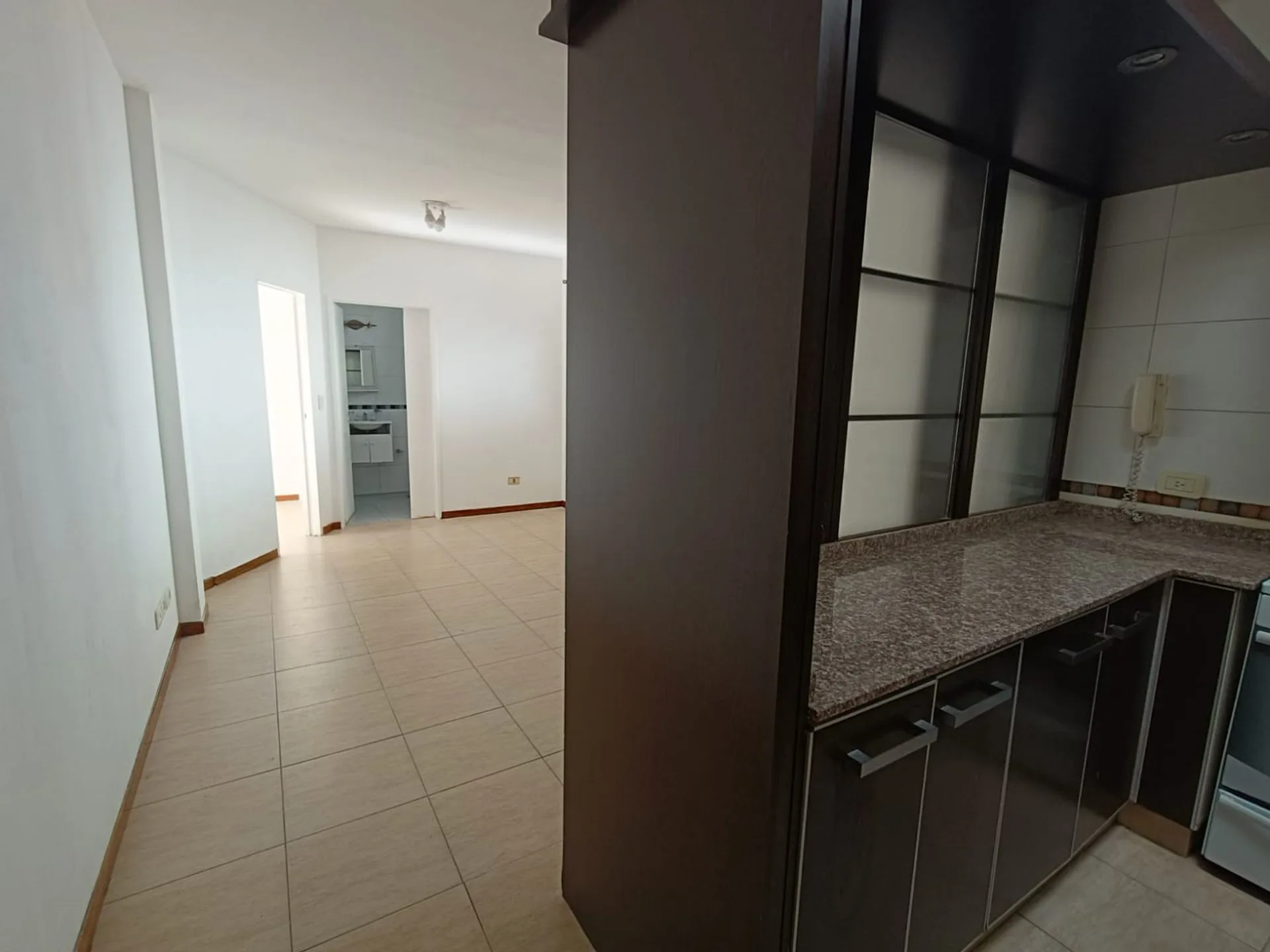 VENTA PH 2 AMBIENTES VILLA SANTA RITA CON PATIO foto 3