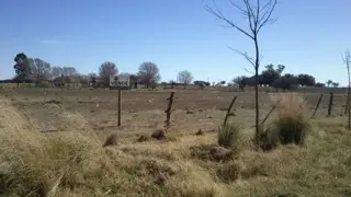 Loteo en Ataliva Roca foto 1