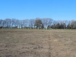 Loteo en Ataliva Roca foto 3