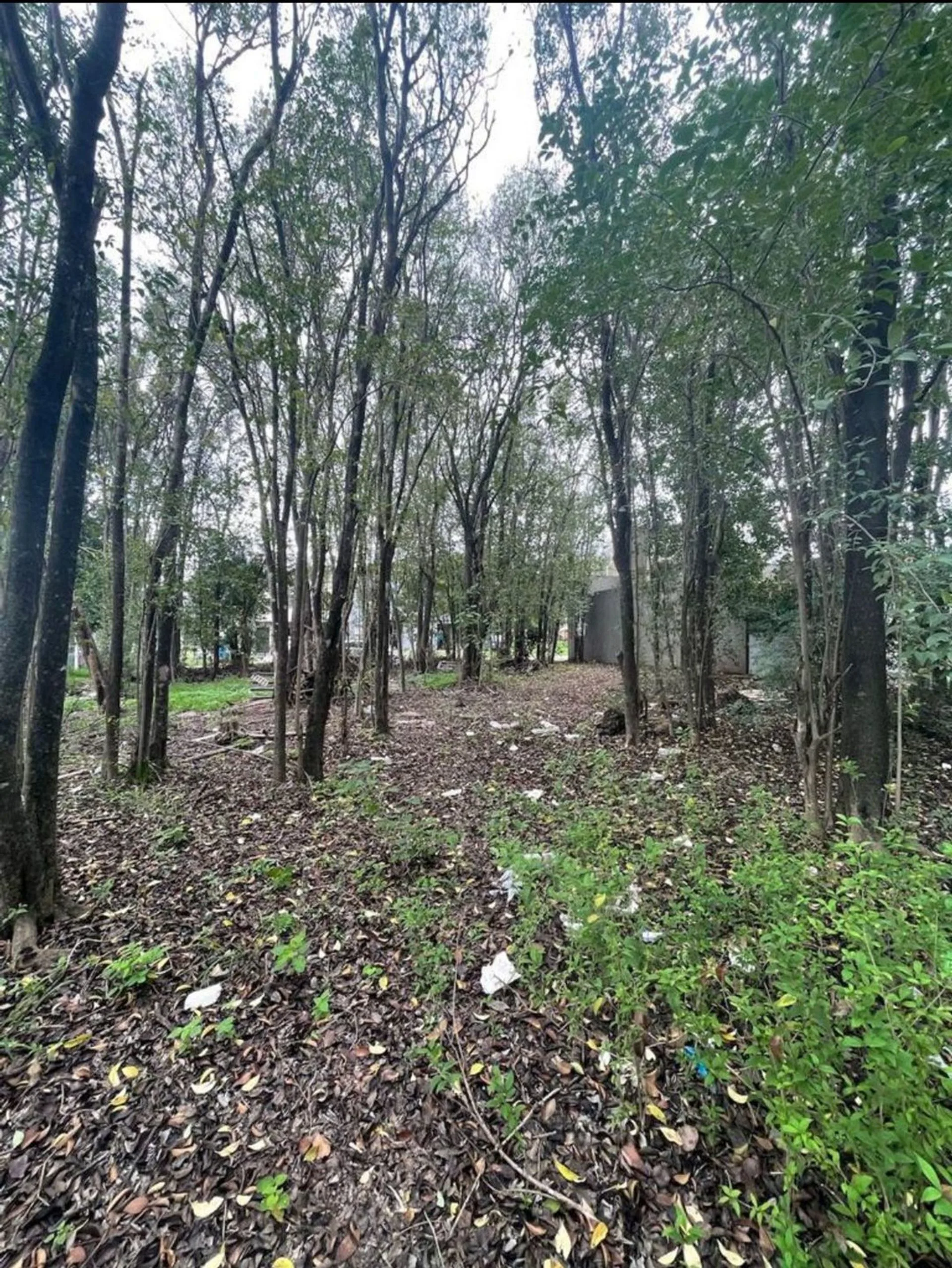 LOTE 300 M2 VILLA CATALINA CAMPOS VERDE FINANCIADO foto 2