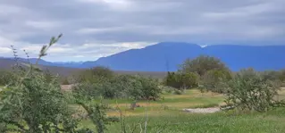 Campo 8650Has Sobre Ruta 40 Talacasto Ullum foto 4