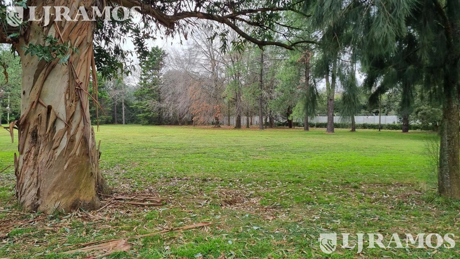 Terreno en Casuarinas Del Pilar foto 4