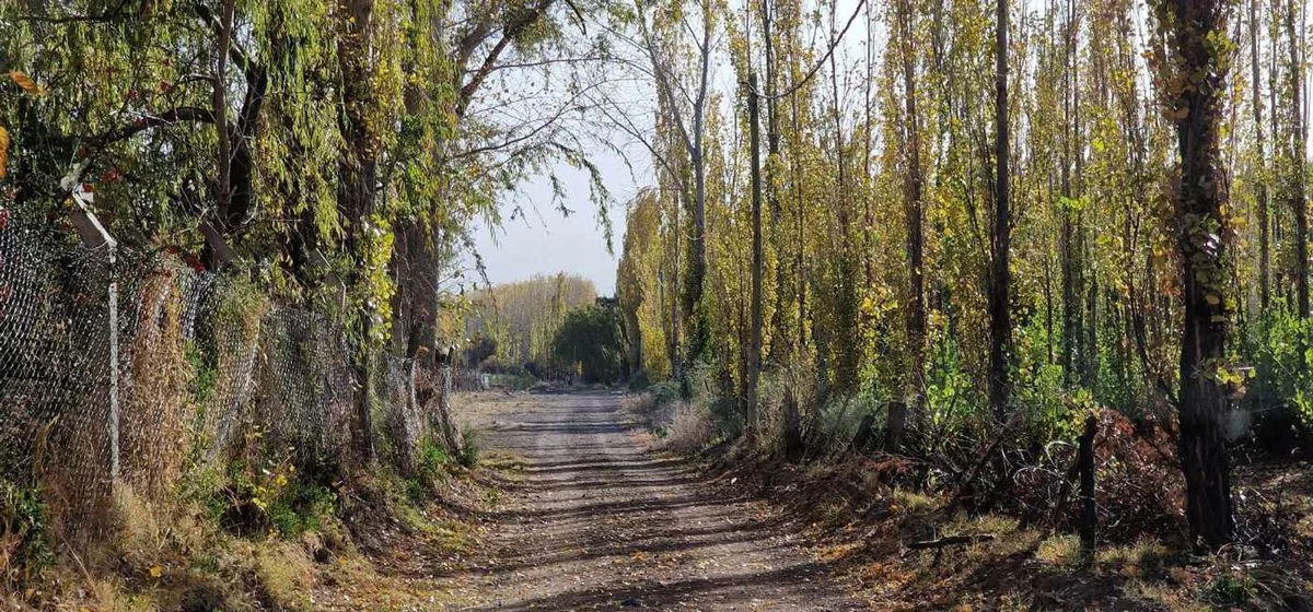 TERRENO DE 700 M2, CON CASA EN OBRA GRUESA BARREAL foto 2