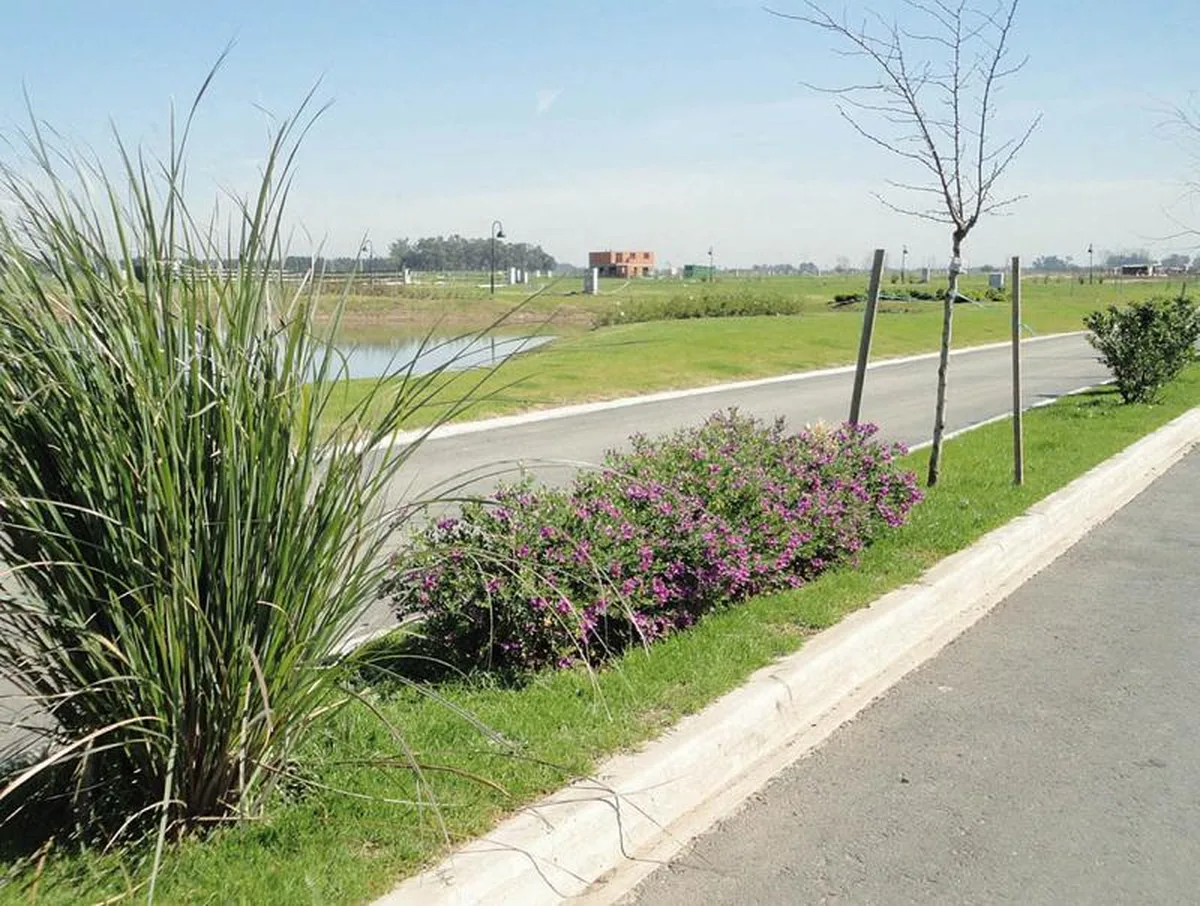 Horizontes al Sur - Lote: 627 foto 5