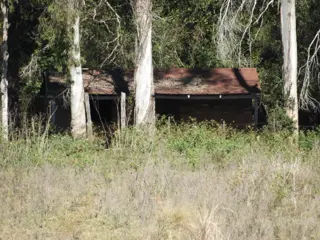 EXCELENTE CAMPO  DE 100 HECTÁREAS, SOBRE RUTA 94 EN AZARA MISIONES foto 1