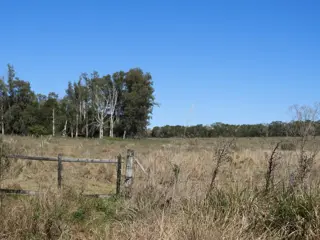 EXCELENTE CAMPO  DE 100 HECTÁREAS, SOBRE RUTA 94 EN AZARA MISIONES foto 2