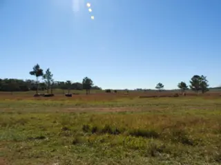 EXCELENTE CAMPO  DE 100 HECTÁREAS, SOBRE RUTA 94 EN AZARA MISIONES foto 3