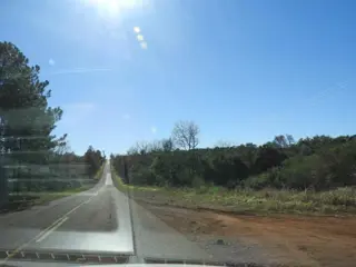 EXCELENTE CAMPO  DE 100 HECTÁREAS, SOBRE RUTA 94 EN AZARA MISIONES foto 4