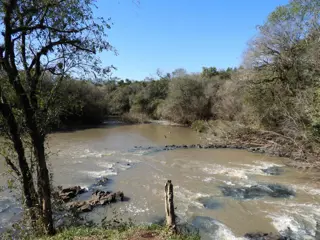 EXCELENTE CAMPO  DE 100 HECTÁREAS, SOBRE RUTA 94 EN AZARA MISIONES foto 5