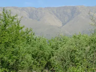 LOTES EN VENTA EN TRASLASIERRA LA POBLACIÓN foto 1