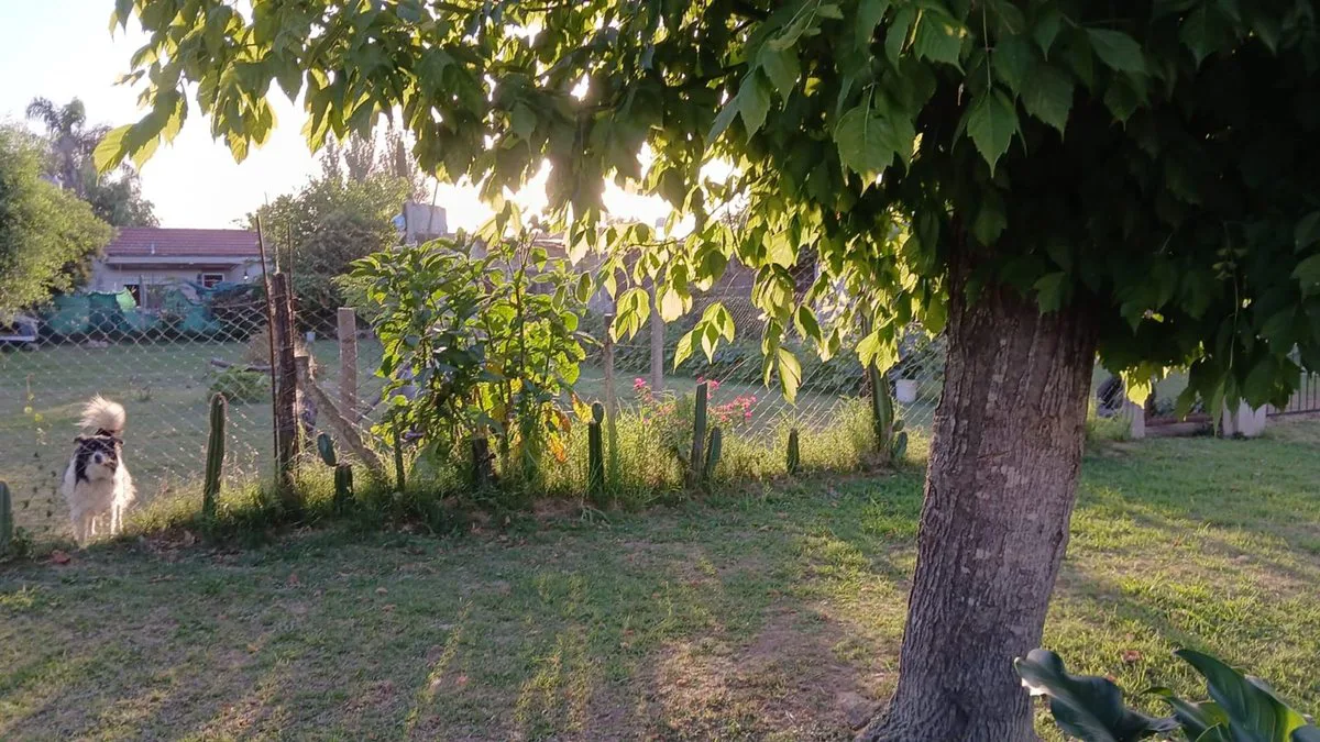 LOTE  360 m2 EN VENTA  -  LUJÁN - foto 2