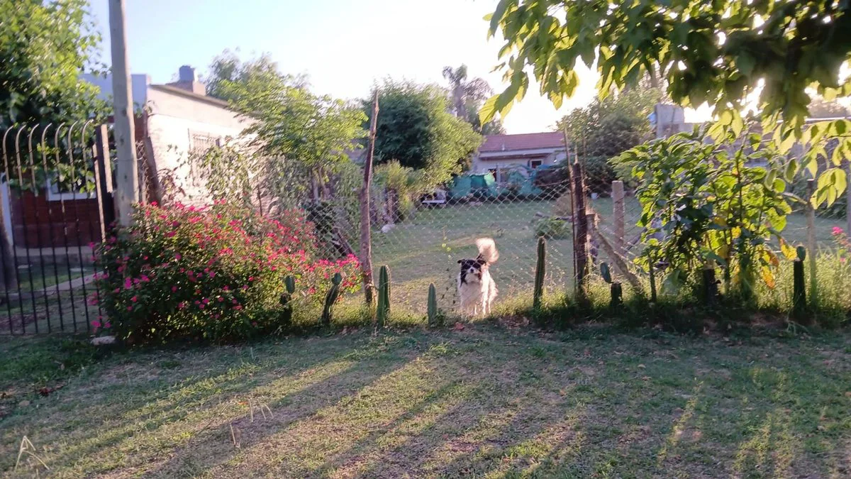 LOTE  360 m2 EN VENTA  -  LUJÁN - foto 3