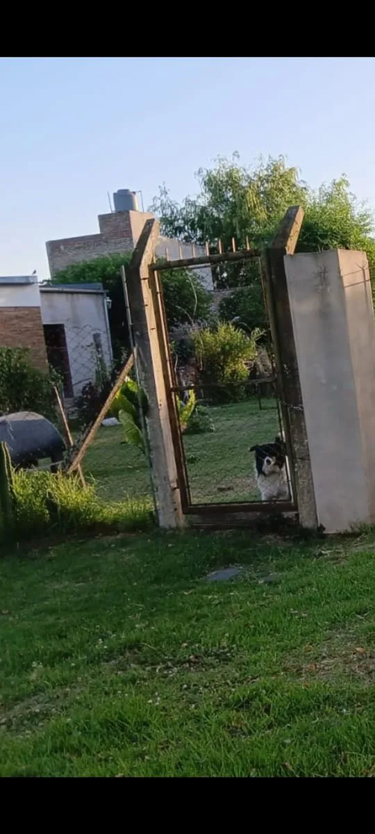 LOTE  360 m2 EN VENTA  -  LUJÁN - foto 5