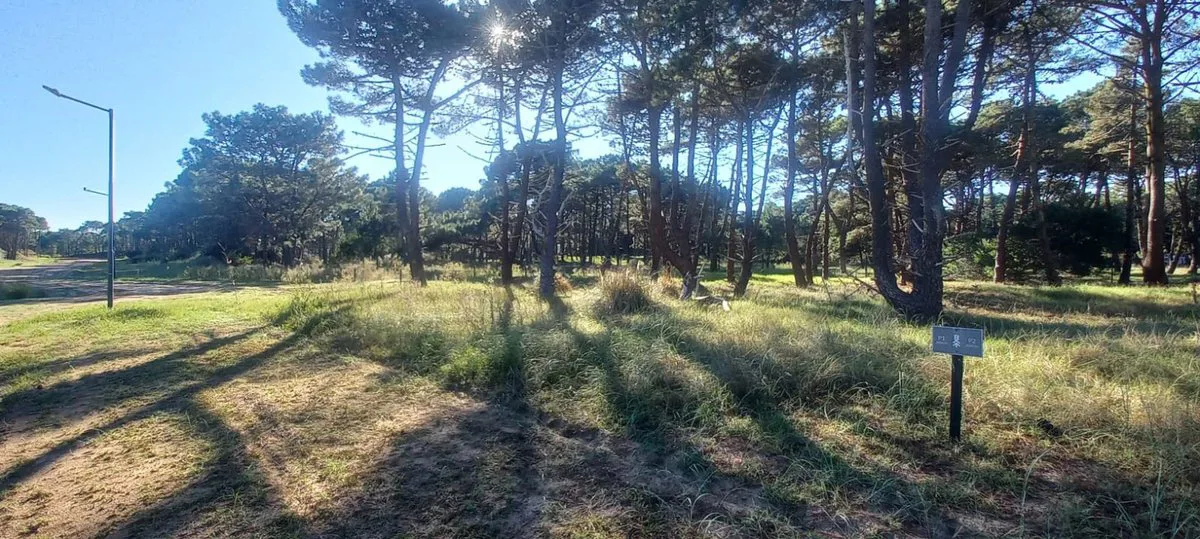 Excelente Lote - Barrio Bosques, Pinamar foto 2
