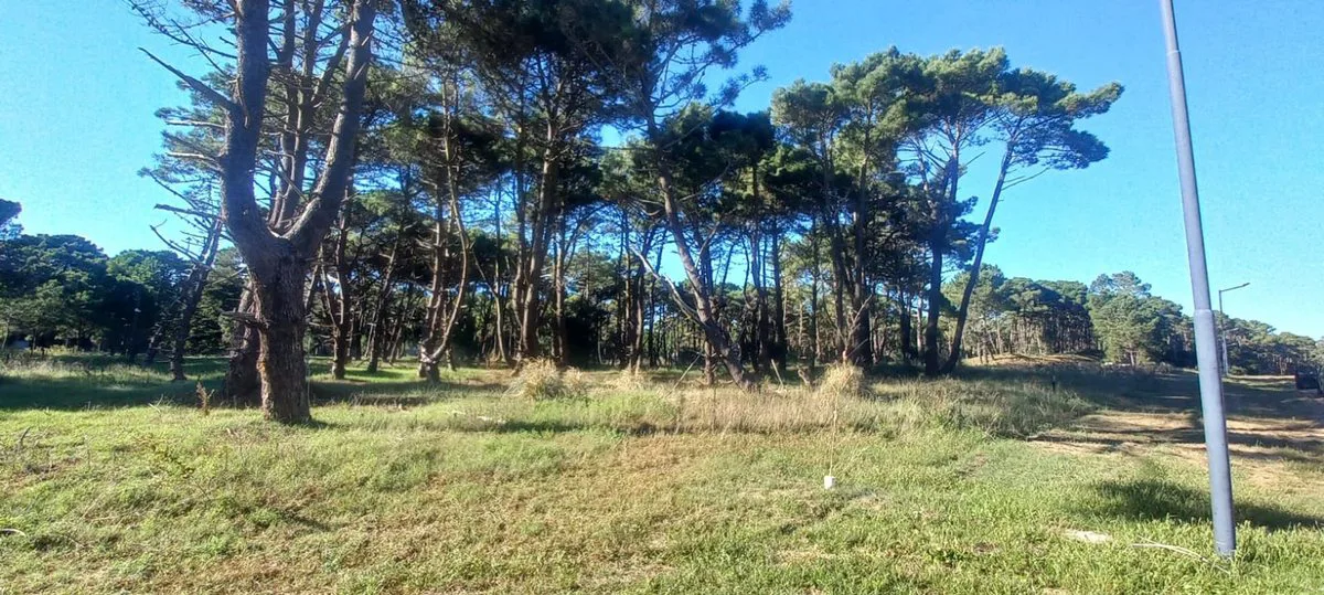 Excelente Lote - Barrio Bosques, Pinamar foto 3