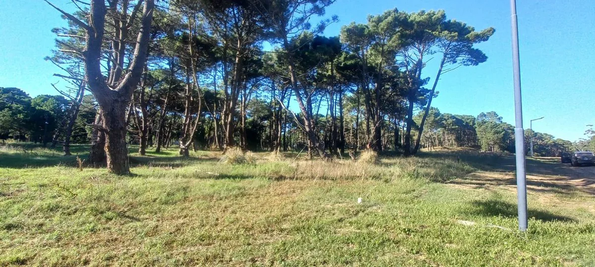 Excelente Lote - Barrio Bosques, Pinamar foto 4