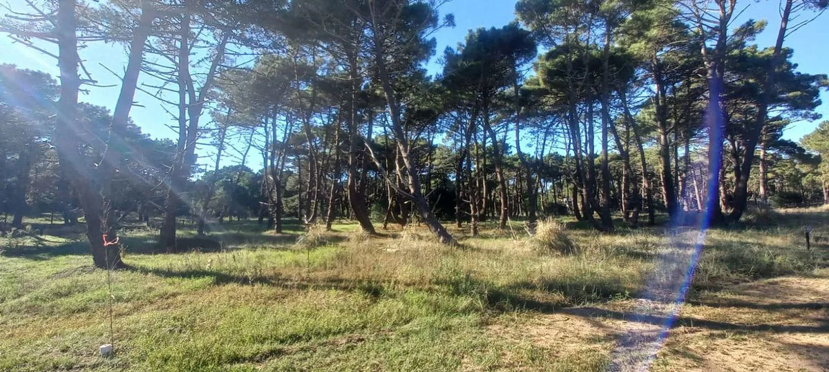 Excelente Lote - Barrio Bosques, Pinamar foto 5