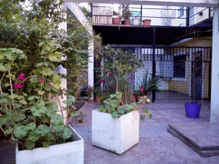 DEPARTAMENTO 3 AMB PLANTA BAJA CON PATIO , COCHERA. TIGRE MAIPU 313 COMPLEJO CON PISCINA foto 4