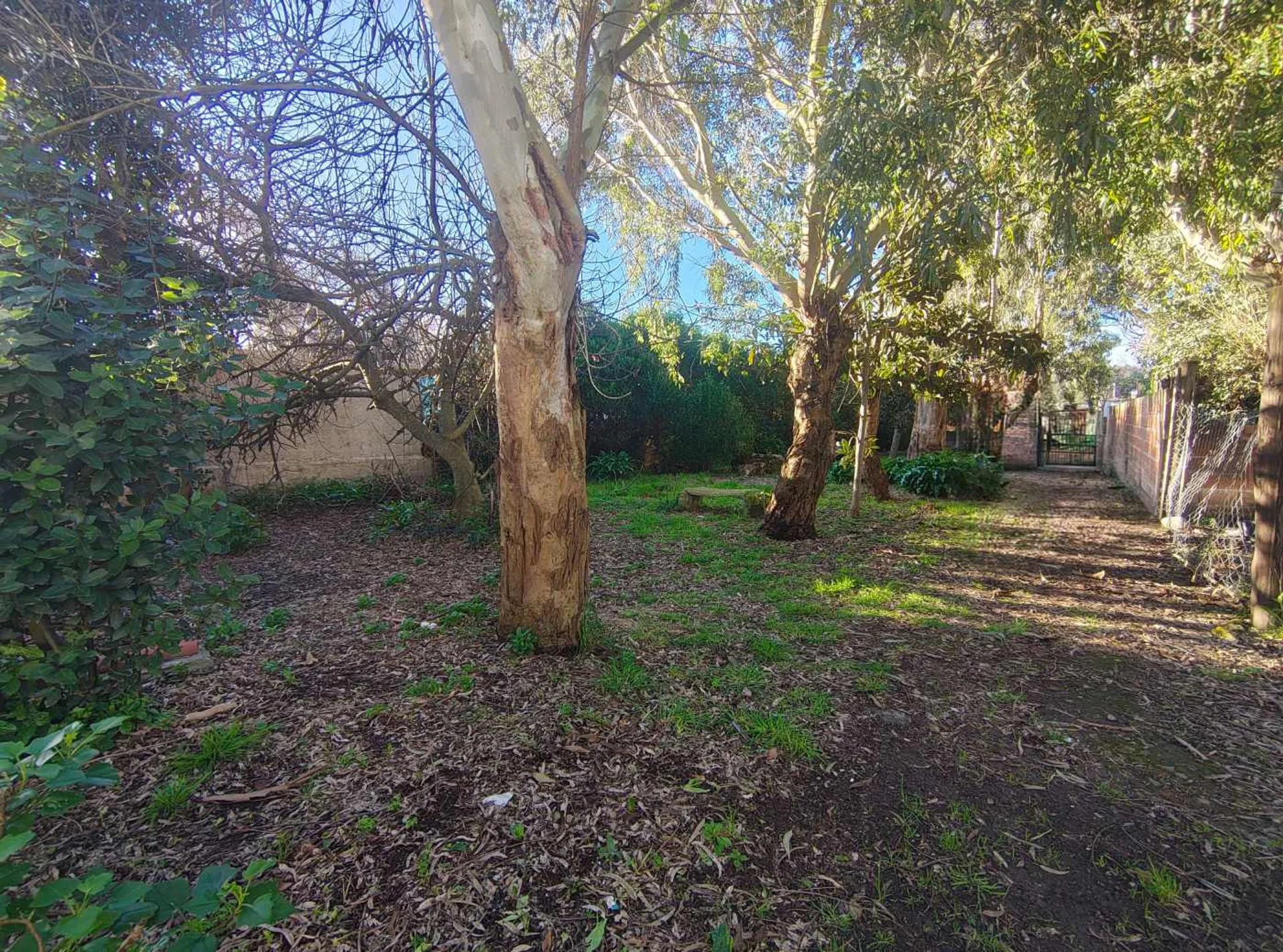 VENTA LOTE TERRENO BARRIO FELIX U CAMET foto 2