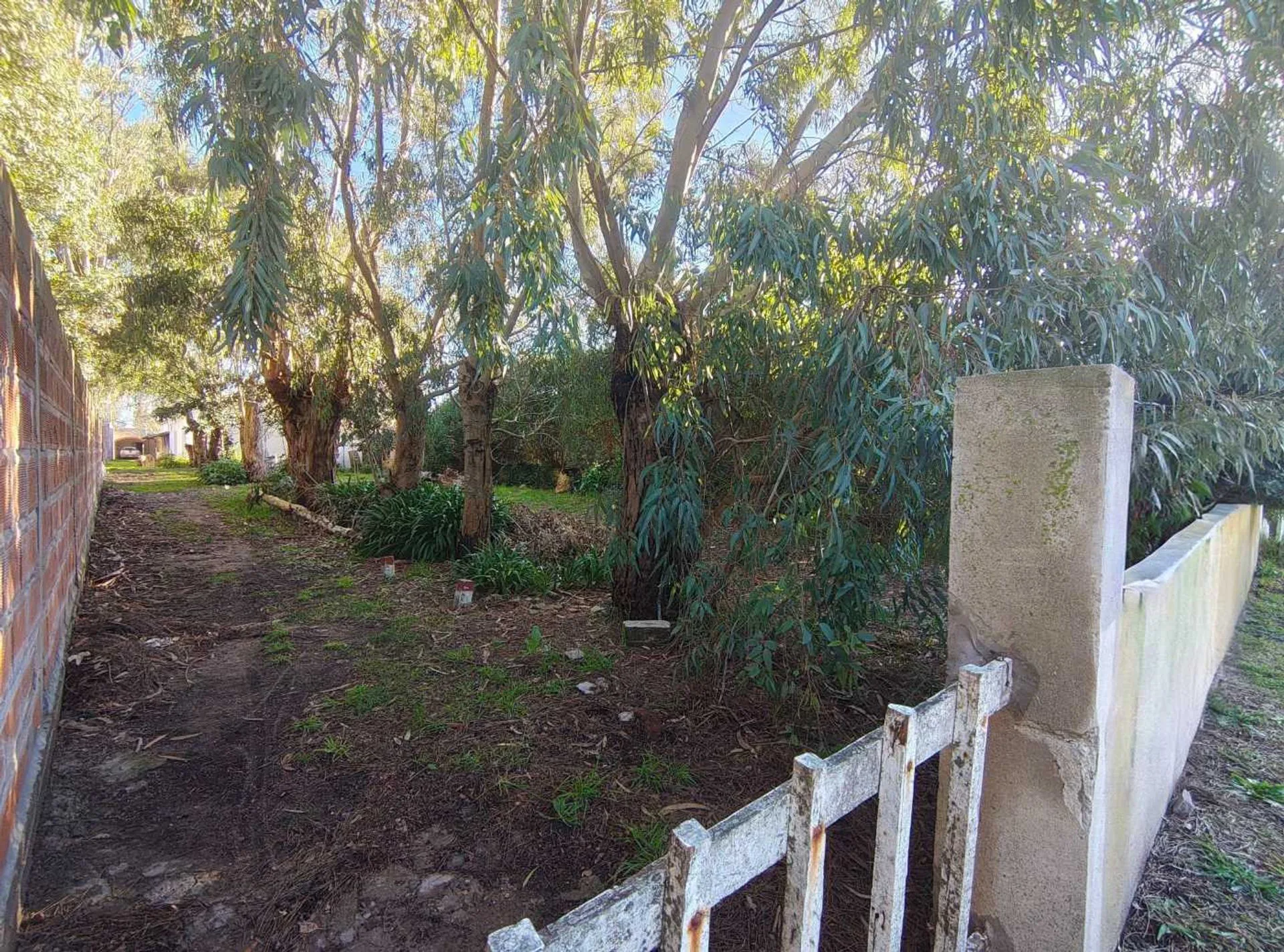 VENTA LOTE TERRENO BARRIO FELIX U CAMET foto 3