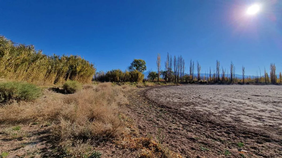 VENTA GRAN TERRENO 1,12 HAS EN BARREAL SUR foto 5