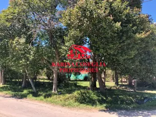 LOTE EN VENTA EN DE VICENZO GRANDE. foto 2