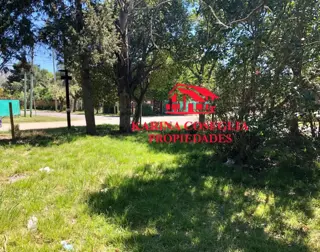 LOTE EN VENTA EN DE VICENZO GRANDE. foto 3