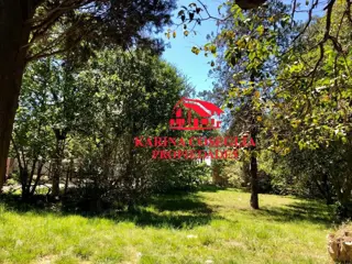 LOTE EN VENTA EN DE VICENZO GRANDE. foto 4