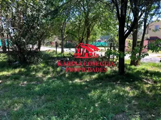 LOTE EN VENTA EN DE VICENZO GRANDE. foto 5