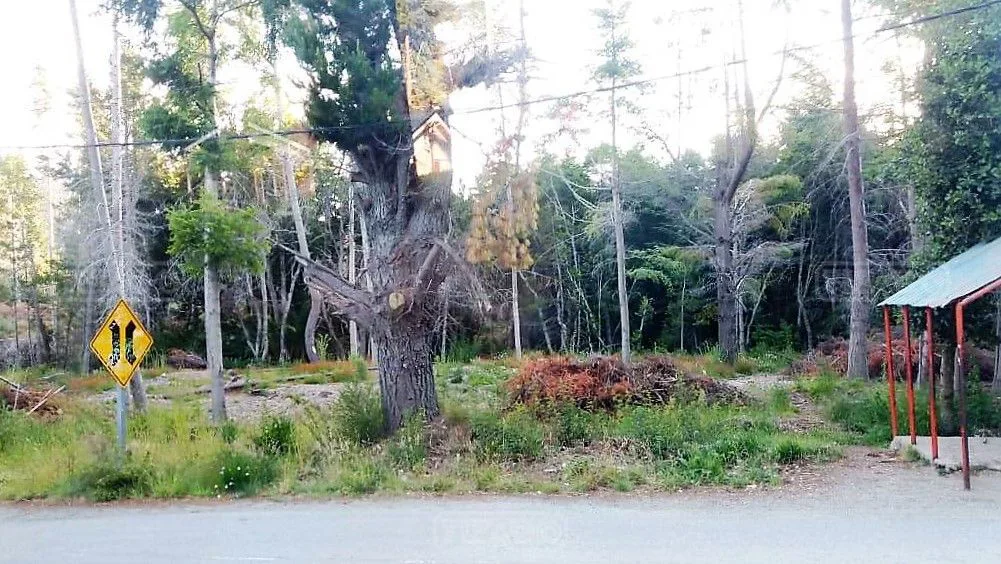 Bustillo 21000 foto 3