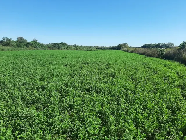 CAMPO EN VENTA SURI POZO - SANTIAGO DEL ESTERO