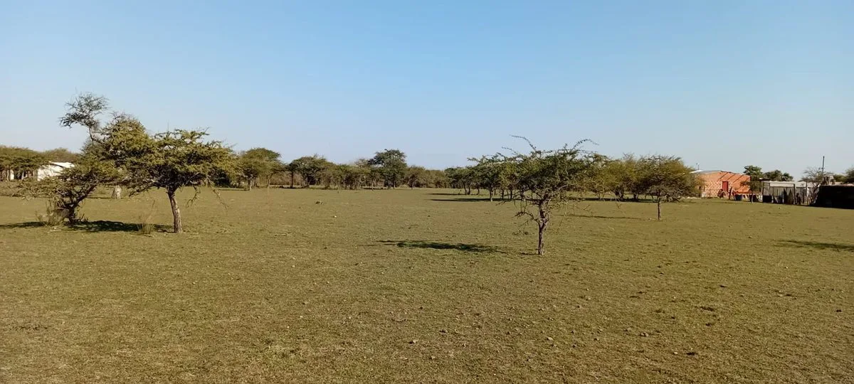 VENTA DE TERRENO DE 10.000m² EN MERCEDES CTES