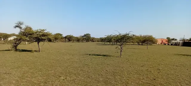 VENTA DE TERRENO DE 10.000m² EN MERCEDES CTES