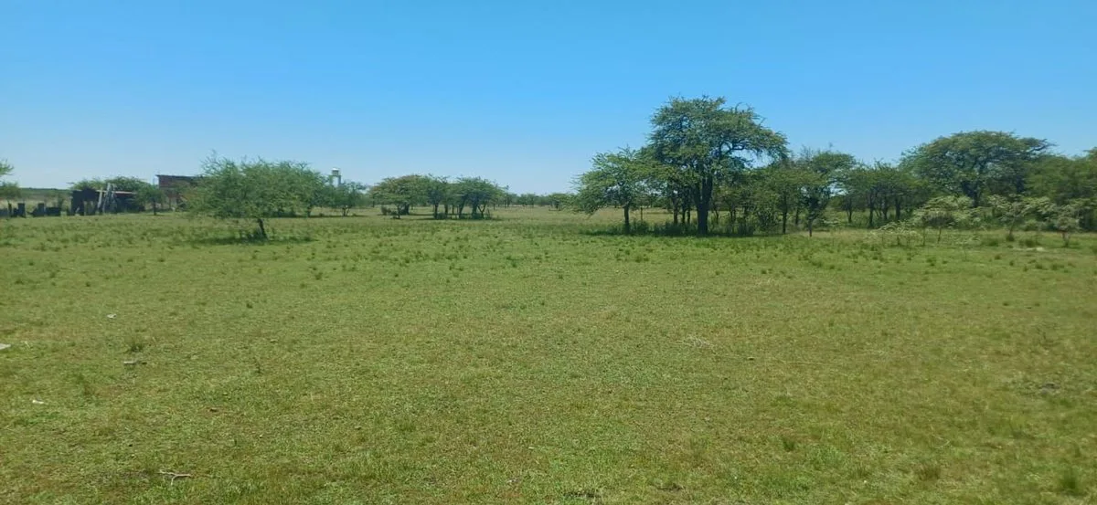 VENTA DE TERRENO DE 10.000m² EN MERCEDES CTES foto 2