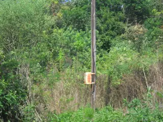 **VENDO CHACRA 12,5 has. SAN MARTIN-MNES** foto 5