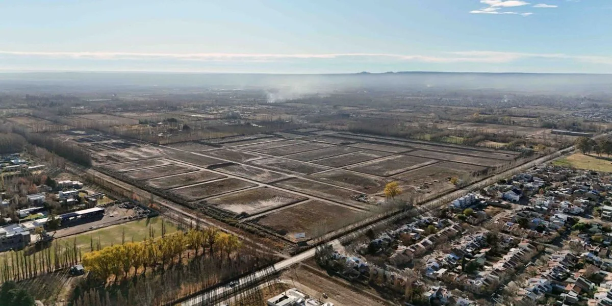 VENTA LOTE RESIDENCIAL  B° GRAN ALAMEDA CIPOLLETTI foto 5