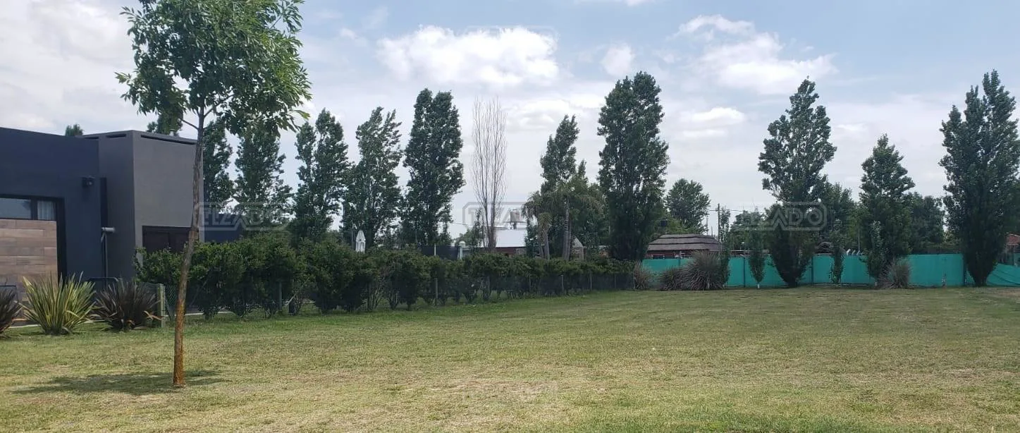 TERRAVISTA foto 2