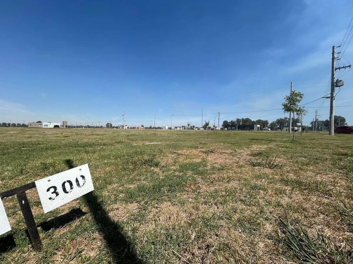 Lote Finca Joven Venta San Vicente 700m2 foto 4
