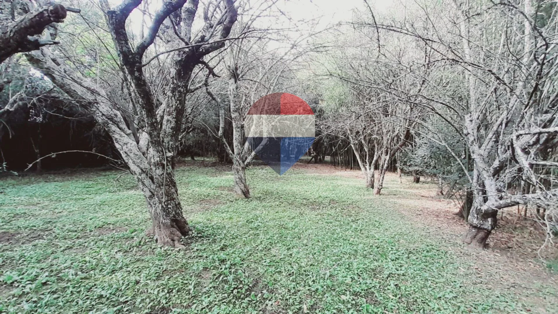 VENTA TERRENO EN YALA A