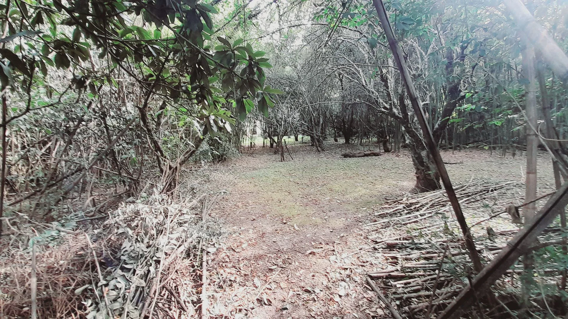 VENTA TERRENO EN YALA A foto 3