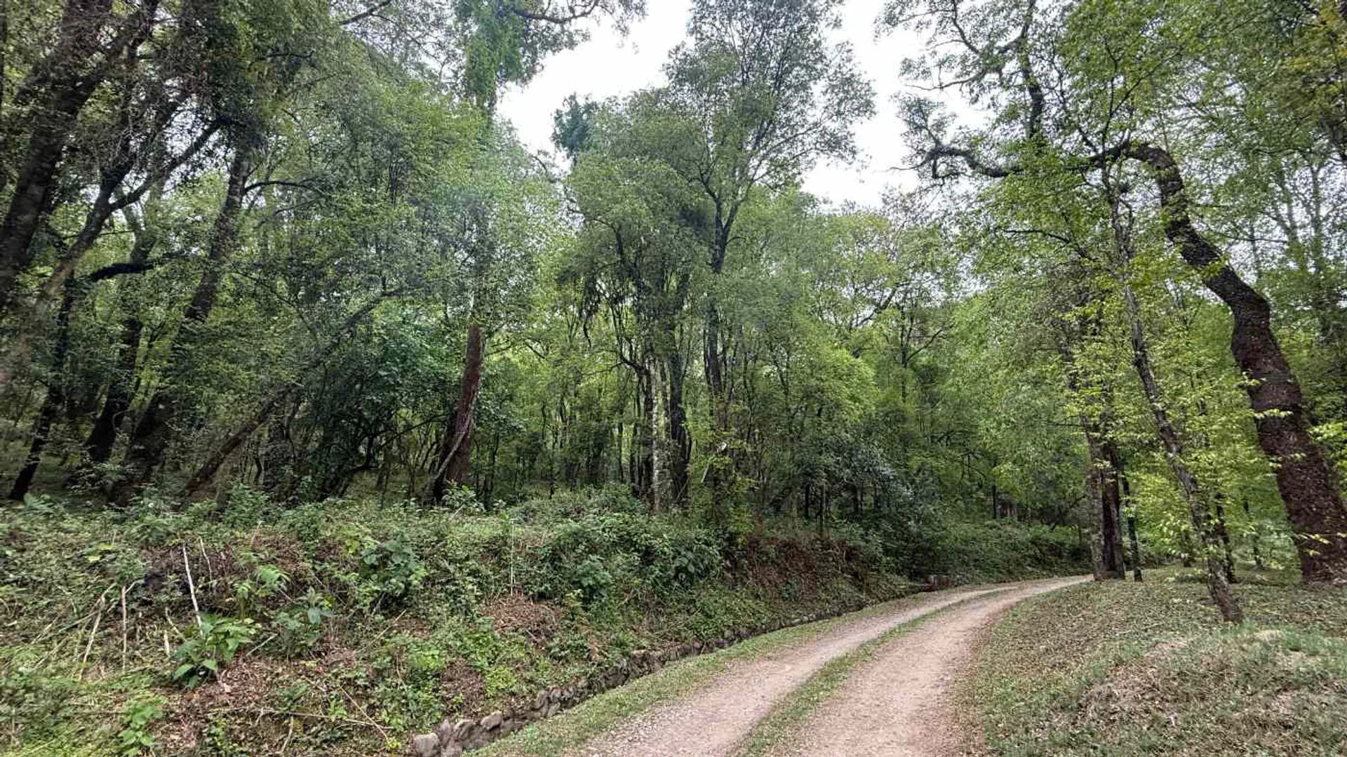VENTA TERRENO HORCO MOLLE  1198,36M2 foto 5