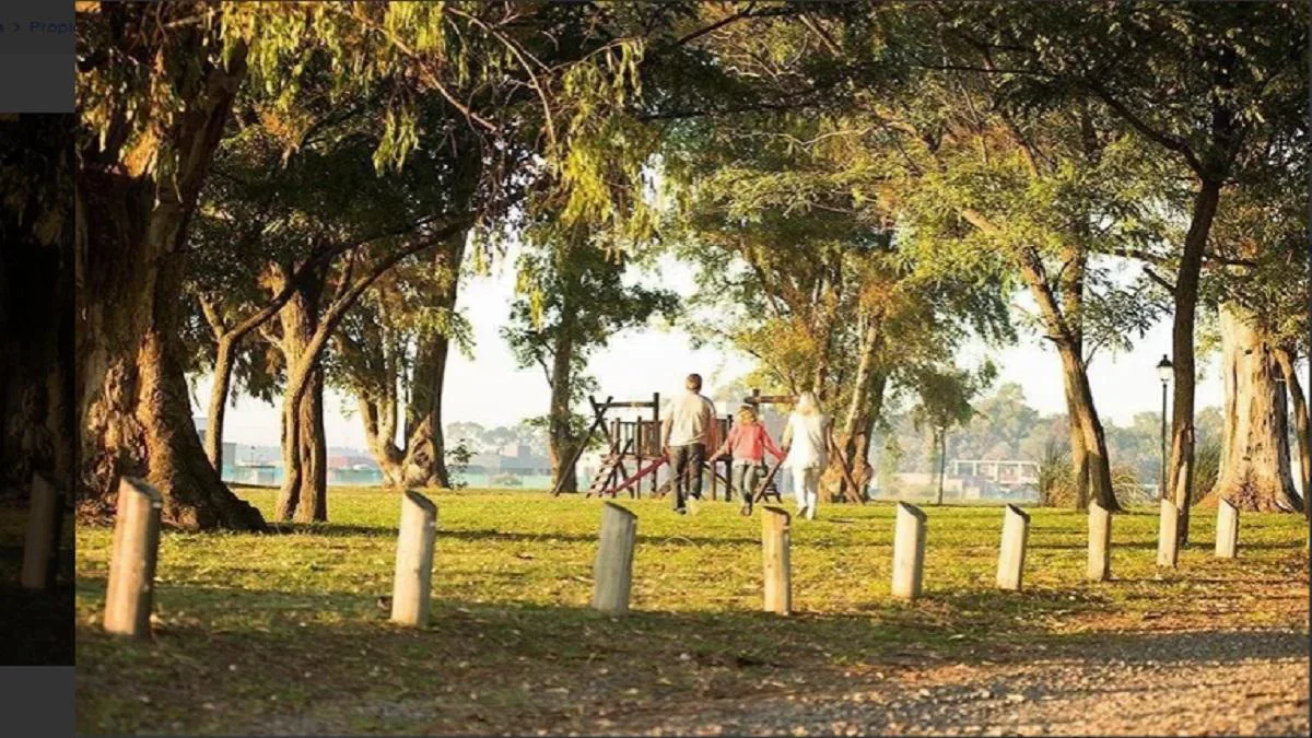 San Simón - Lote: 254 foto 4