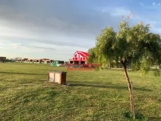 LOTE EN VENTA EN SAN RAMON, PILAR DEL ESTE foto 2
