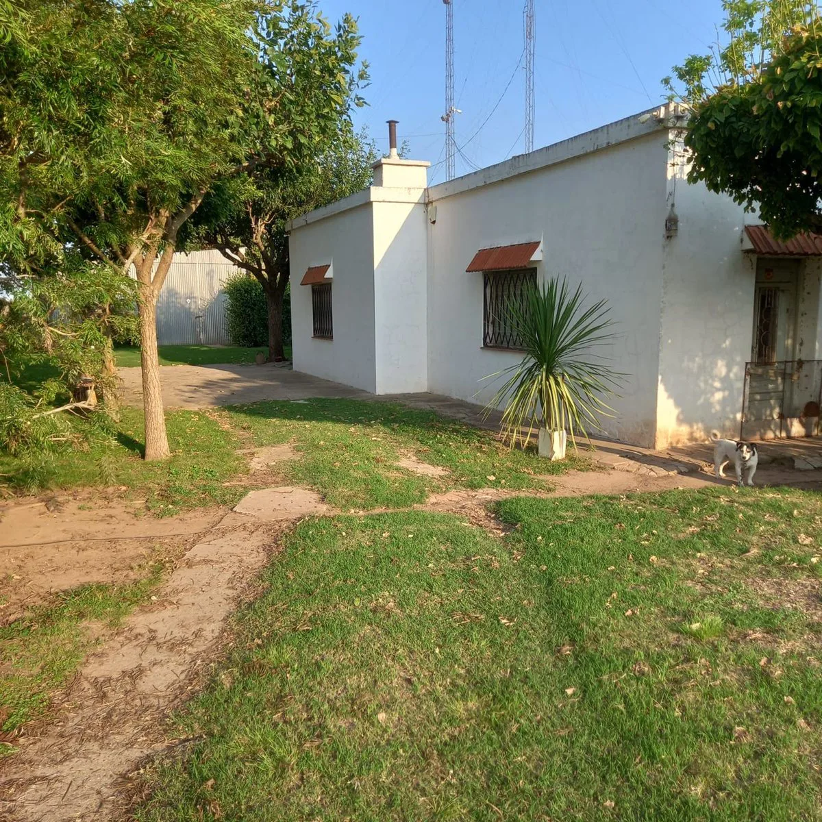 Venta campo productivo sobre Ruta 11 foto 4