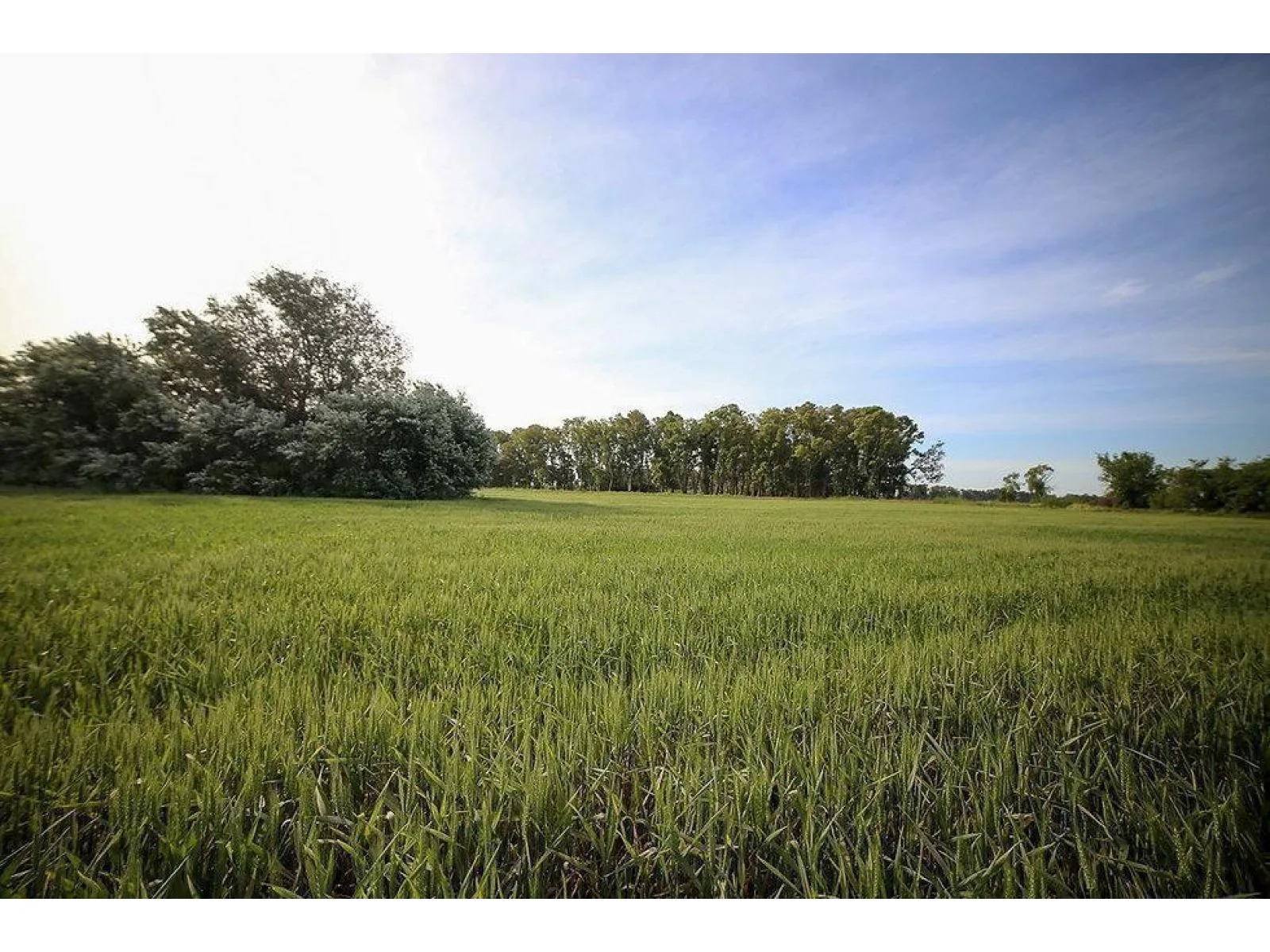 venta o permuta lote 2200 mts chacra san andres foto 2