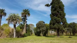 Lotes en barrio privado Saint Joseph foto 5