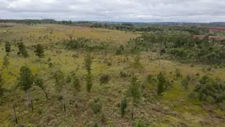 CAMPO EN VENTA EN GOBERNADOR ROCA MISIONES - 70 HECTÁREAS A METROS DE RUTA N°12 foto 1