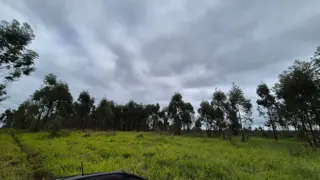 CAMPO EN VENTA EN GOBERNADOR ROCA MISIONES - 70 HECTÁREAS A METROS DE RUTA N°12 foto 2