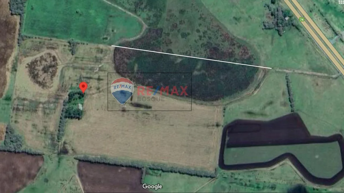 CAMPO VENTA 32 HECTAREAS EN GENERAL MADARIAGA foto 2